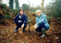 Wendy and Chris with the Tree