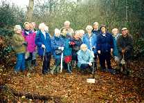 A group of family and friends with the Tree